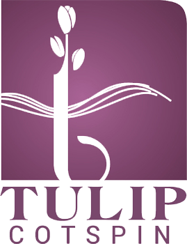 Tulip